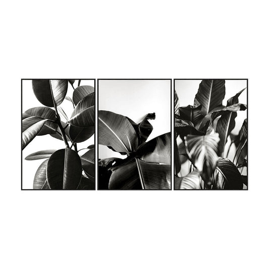 TROPICANA SET 3 CANVAS PRINT